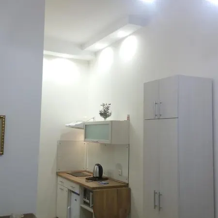 Левеня Apartment Lviv Exterior photo